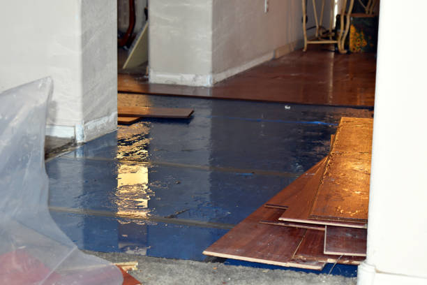 Professional Water Damage Restoration technician working in Homer, OH